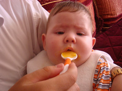 وجبة الخضر الأولى