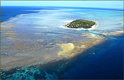 وبينما هو في السماء لاحظ جزيرة بعيدة